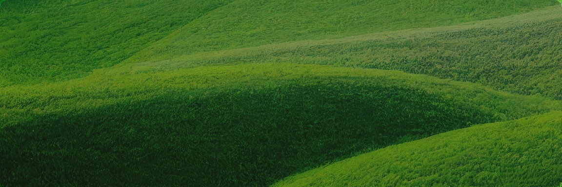 恒峰g22-官网入口--天天有惊喜